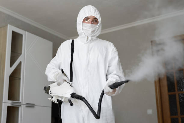 Why You Should Choose Our Mold Remediation Services in Mankato, MN